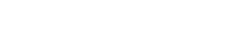 Net IT Services